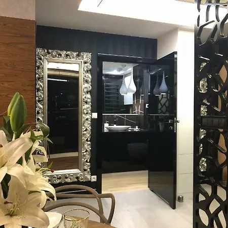 Designed Apartment